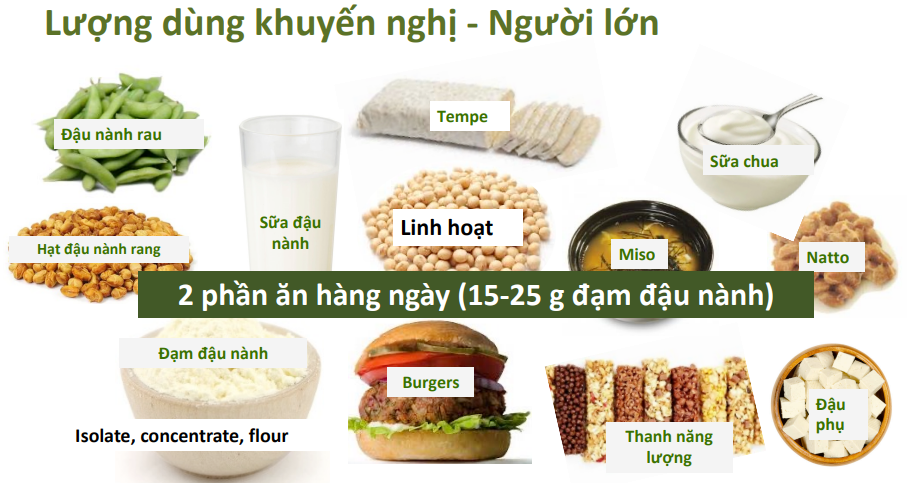 Vận động khỏe khoắn tuổi trung niên nhờ đạm đậu nành