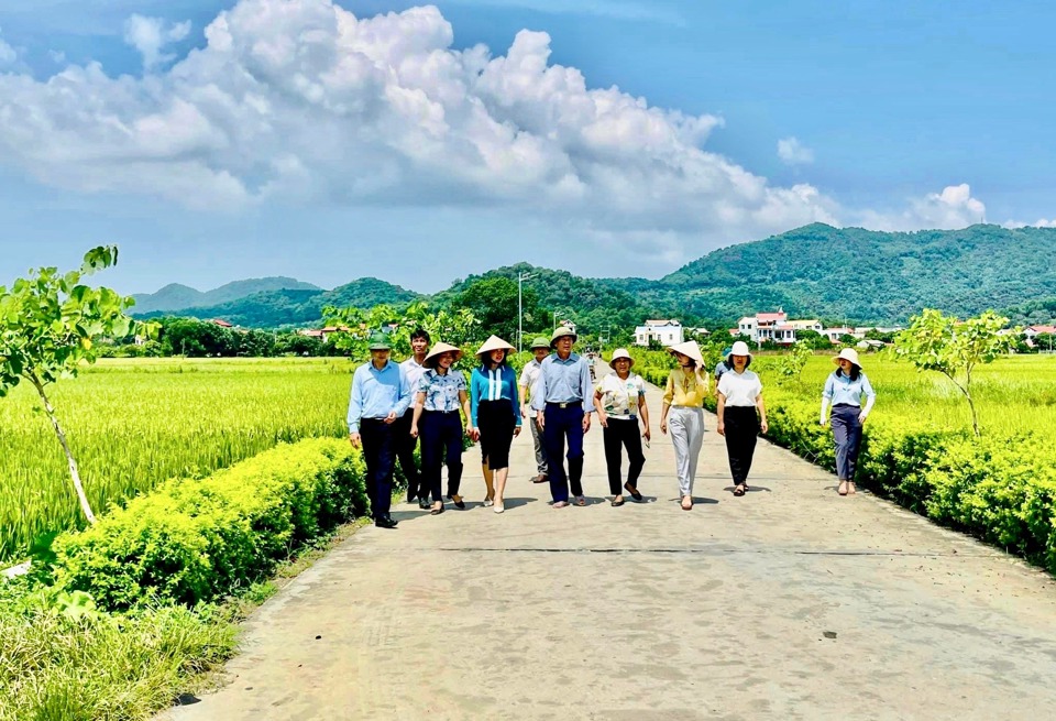 Đường giao thông nông thôn xanh, sạch, đẹp tại xã Phù Linh (huyện Sóc Sơn).