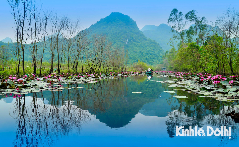 Với tiết trời man mát, dễ chịu những ngày tháng 12, khung cảnh nên thơ hơn. Đây cũng là thời điểm thu hút du khách đến chụp ảnh nhiều nhất.  Du khách có thể đến để cảm nhận sự dịu dàng của dòng suối Yến mùa hoa súng tím, cảm nhận trời đất, mây núi giao hoà như một bức tranh thuỷ mặc đẹp đến nao lòng mà thiên nhiên hào phóng ban tặng cho không gian nơi đây.