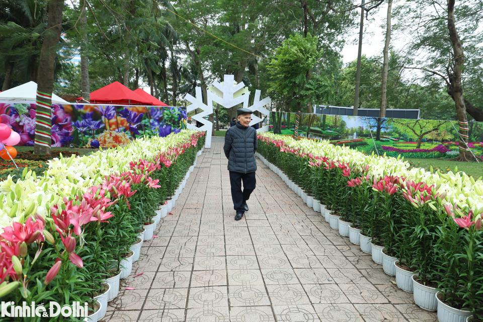 Lễ hội Hà Nội miền hoa - Flower Land 2023 được diễn ra từ ngày 21/12/2023 đến 1/1/2024.