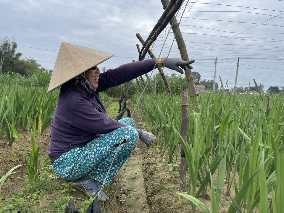 Bà Nhỏ đang rất kỳ vọng vào vụ hoa được mùa, được giá.  Ảnh: Hà Phương