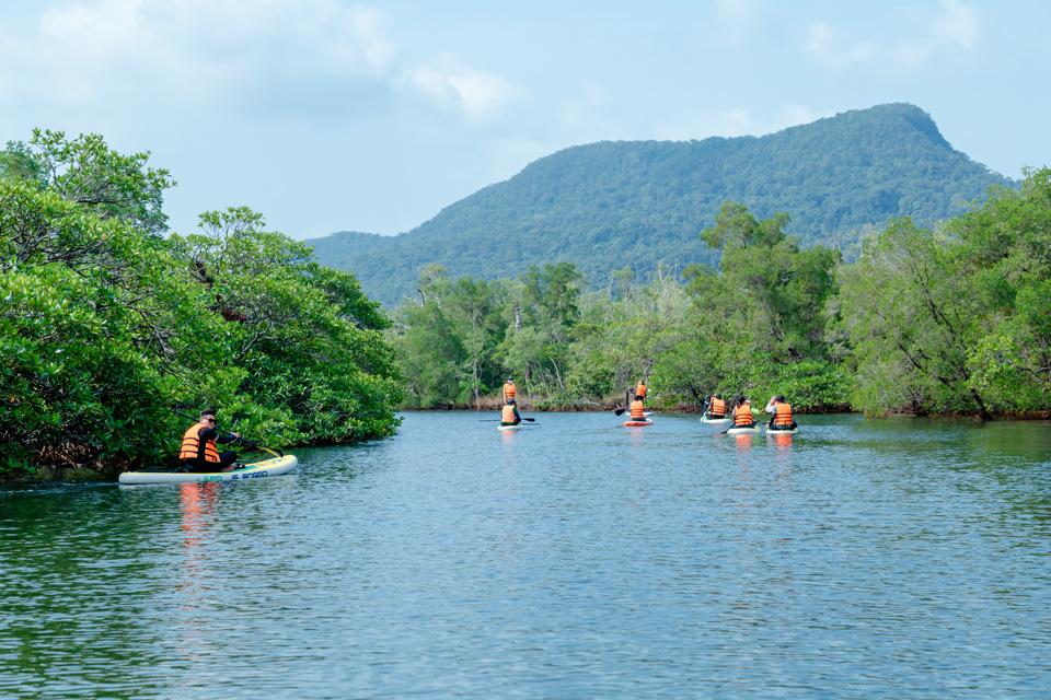 Một bên bờ sông Rạch Tràm là rừng tràm xen lẫn với cây dầu và cây sao. Còn một bên là rừng ngập mặn gồm các loài cây: vẹt, đước, bần và cây cóc đỏ. (Ảnh Hữu Tuấn)