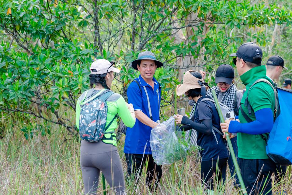 Trên đường di chuyển đến sông Rạch Tràm du khách có thể khám phá rừng nguyên sinh, hoang sơ nhưng tiềm ảnh những vẻ đẹp như những bức tranh thủy mạc. (Ảnh Hữu Tuấn)