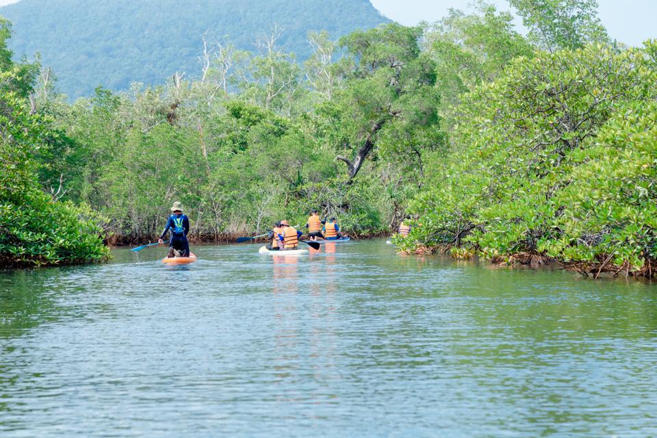 Chị Nguyễn Thị Bích Diệu một du khách cho biết, Trekking tại rừng tràm bao gồm trên cạn, trekking rừng ngập mặn, chèo sup trên sông Rạch Tràm, đi thuyền trên biển, tắm biển và ngắm sao biển tại Hàm Rồng, tham quan trại nuôi cấy ngọc trai Ngọc Hiền, tự tay mổ trai, lặn ngắm san hô ở Rạng Soi....rất thú vị và thử thách bản thân, chinh phục Phú Quốc. (Ảnh Hữu Tuấn)