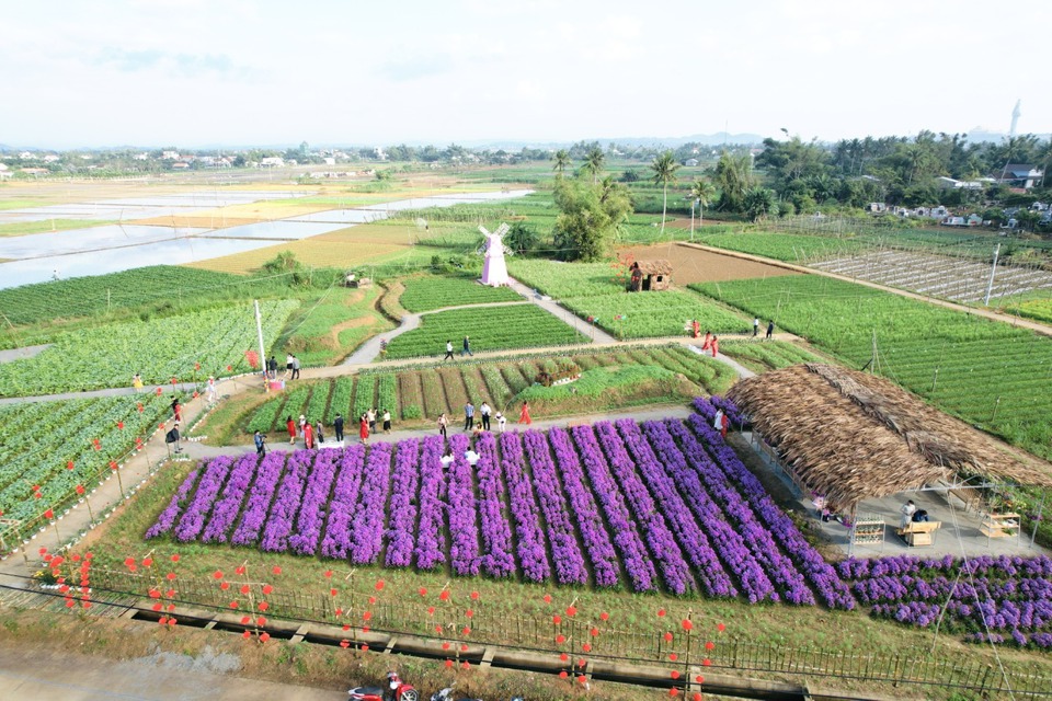 Vùng chuyên canh hoa Nghĩa Hà.