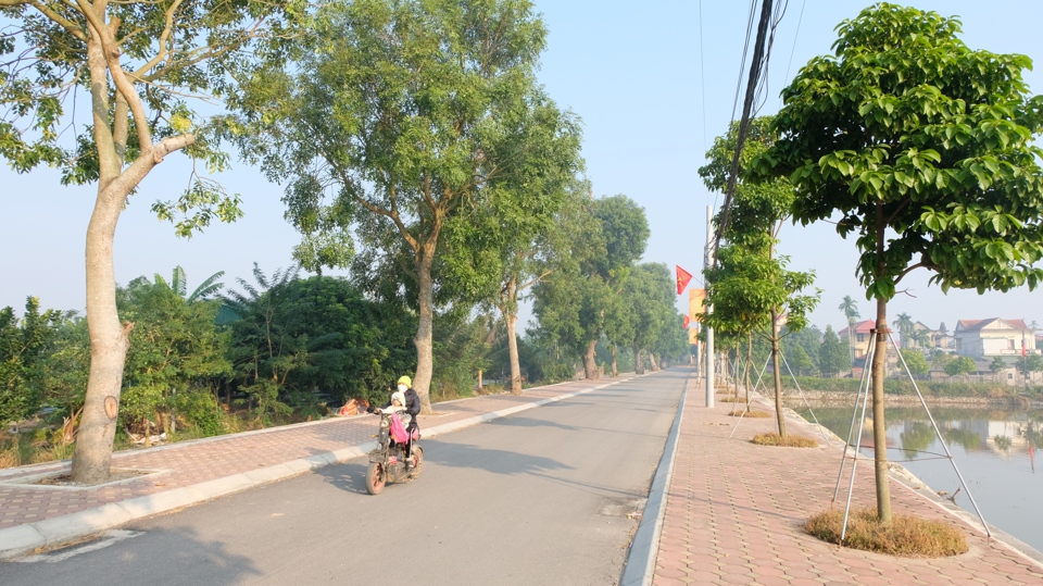 Đường giao thông nông thôn xanh - sạch - đẹp ở xã Nam Triều.