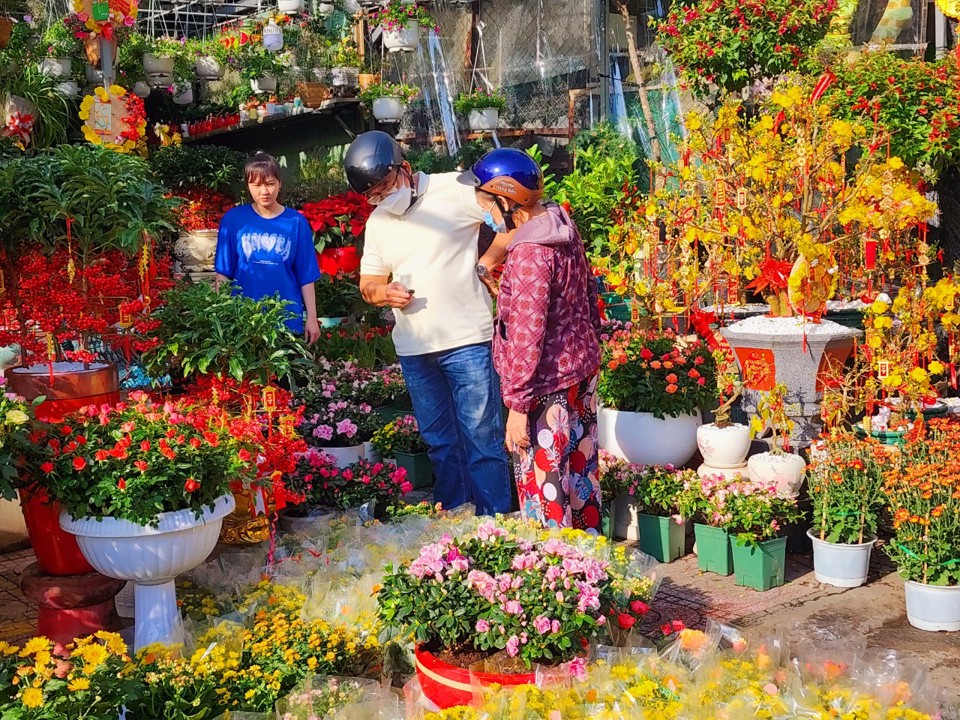 Nhiều cửa hàng bán hoa trên đường Thành Thái (quận 10, TP Hồ Chí Minh) đã bày bán nhiều loại hoa phục vụ Tết