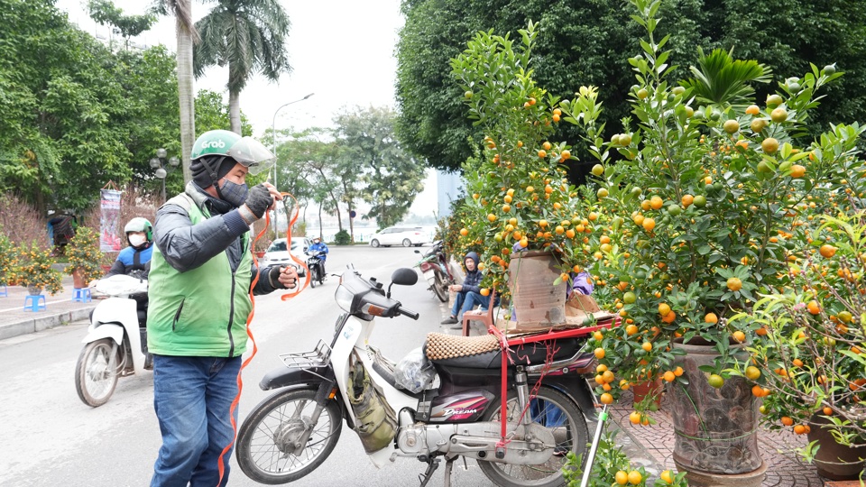 Năm nay, trên địa bàn quận Tây Hồ có 9 điểm chợ hoa Xuân.