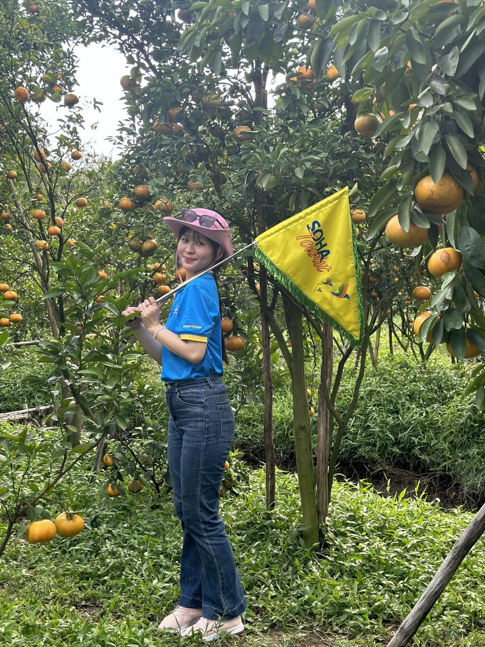 Tranh thủ ngày nghỉ cuối tuần, chị Mai Thị Thy Thơ (ngụ quận Ninh Kiều, TP Cần Thơ) cùng người thân tìm đến vườn quýt hồng Ba Muôi để tham quan và lưu lại những bức ảnh kỷ niệm tại đây. Chị Thy Thơ cho biết, đây là lần đầu chị đến với vườn quýt hồng Ba Muôi. Chị bị cuốn hút bởi những chùm quýt vàng bóng. Quýt sai trĩu quả, đang chuyển sang màu vàng tươi nên chị chụp được những bức ảnh rất đẹp.