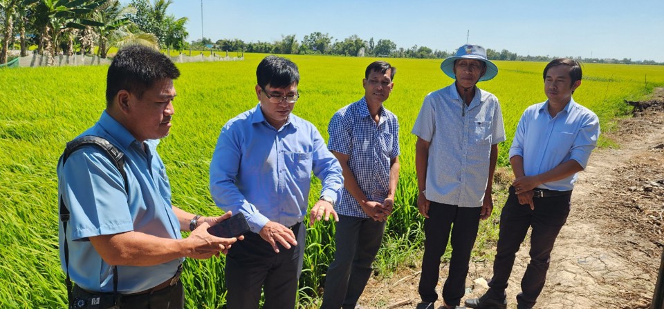 Ông Hồ Văn Hải Trưởng phòng Nông nghiệp Vĩnh Lợi (thứ hai từ trái sang) đang trao đổi với phóng viên báo Kinh tế và Đô thị về chuỗi liên kết các HTX tạo ra