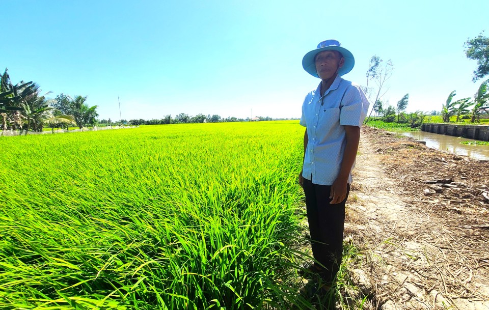 Chú Phạm Văn Mịn, 63 tuổi, nhà ở ấp Trung Hưng 3, xã Vĩnh Hưng A, huyện Vĩnh Lợi  nhàn hạ với 4ha lúa nhờ tham gia HTX, các con chú đều đi làm xa.