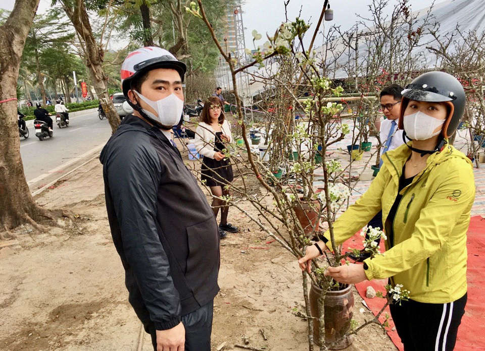 So với hoa đào, hoa lê có giá tương đương. Đối với nhiều cành/gốc lê to, đẹp và nhiều nụ, giá mỗi gốc/cành có thể lên tới cả chục triệu đồng. Trong khi phần lớn các cành lê nhỏ có giá từ 100.000 - 500.000 đồng.