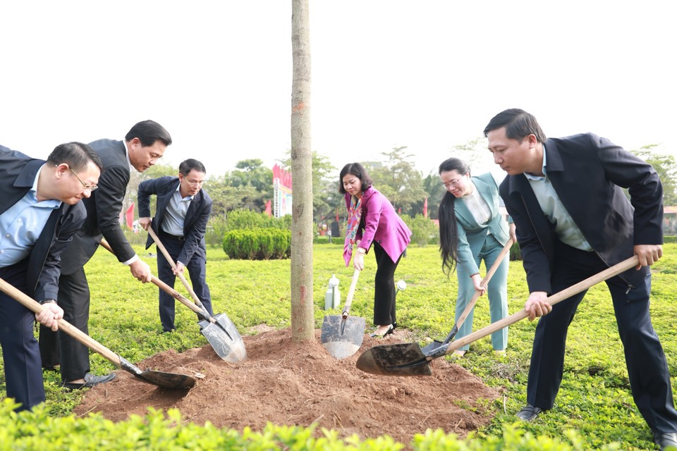 Phó Bí thư Thường trực Thành ủy Nguyễn Thị Tuyến cùng lãnh đạo TP và huyện Mê Linh tham gia trồng cây xanh.