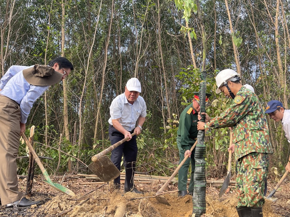 Lãnh đạo tỉnh Quảng Ngãi và huyện Trà Bồng tham gia trồng cây ở Gò Diêm.