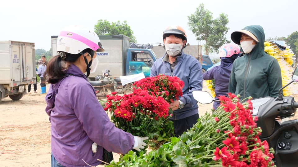 Ngoài hoa cúc vàng chiếm tỷ lệ lớn nhất, các loại cúc khác cũng được tiểu thương bày bán khá nhiều. Giá dao động từ 500 - 1.000 đồng/bông (tuỳ loại).