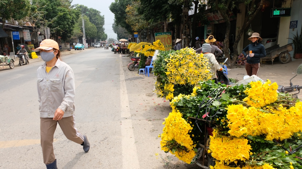 Những năm qua, nghề trồng hoa cắt cành, trong đó chủ đạo là hoa hồng và hoa cúc, vẫn phát triển tại nhiều xã thuộc huyện Mê Linh. Trung bình mỗi năm, hàng chục triệu bông hoa được người nông dân nơi đây cung ứng cho thị trường Hà Nội và xuất bán đi các tỉnh, TP trên cả nước.