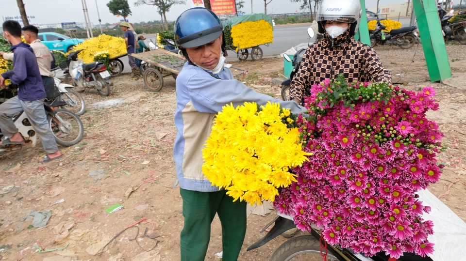 Đối với cúc đại đoá, cúc cánh dài, giá bán thậm chí còn rẻ hơn, có tiểu thương chào bán 25.000 - 30.000 đồng/50 bông.