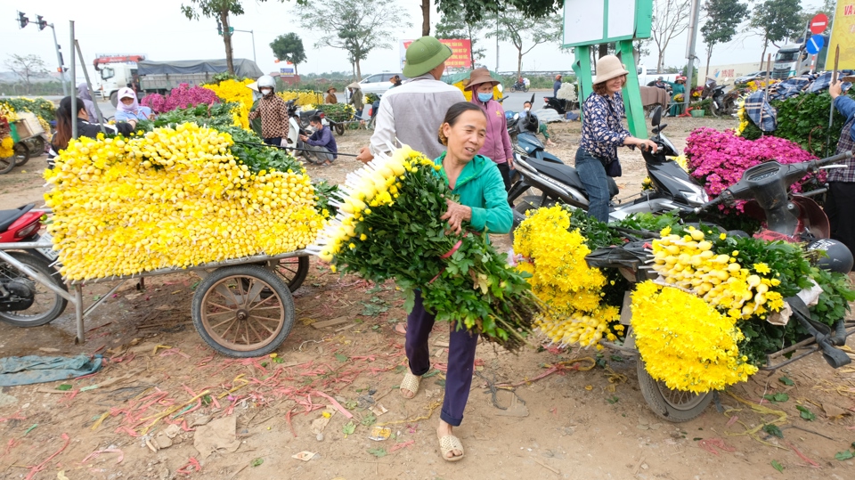 Bà Phạm Thị Xuân (xã Đại Thịnh) cho biết, giá hoa cúc trước rằm tháng Giêng rẻ hơn nhiều thời điểm trước Tết Giáp Thìn. Cúc kim cương đắt nhất cũng chỉ bán được 50.000 - 70.000 đồng/50 bông.