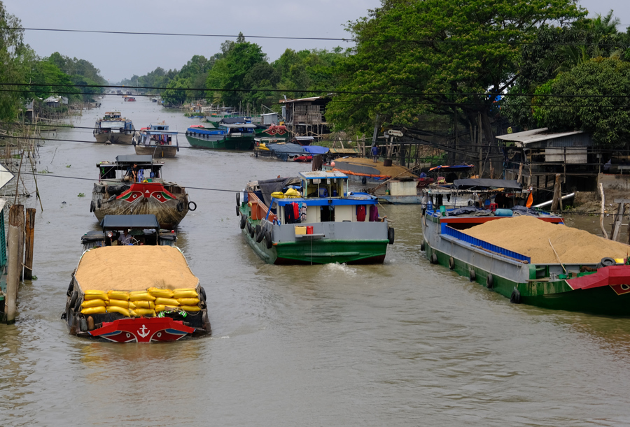 2 tháng đầu năm 2024, xuất khẩu gạo đạt 708 triệu USD. Ảnh mimh họa