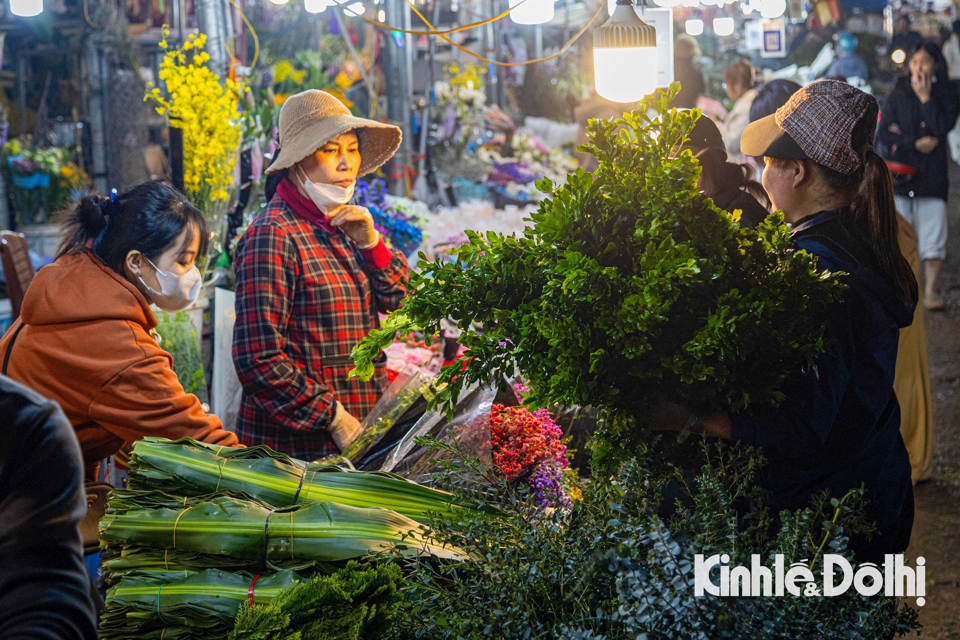 Hoa ở chợ hoa Quảng An được lấy nguồn từ khắp các vùng như Đông Anh, Tây Tựu, Gia Lâm...Thậm chí có loại hoa còn được đưa ra từ Đà Lạt.