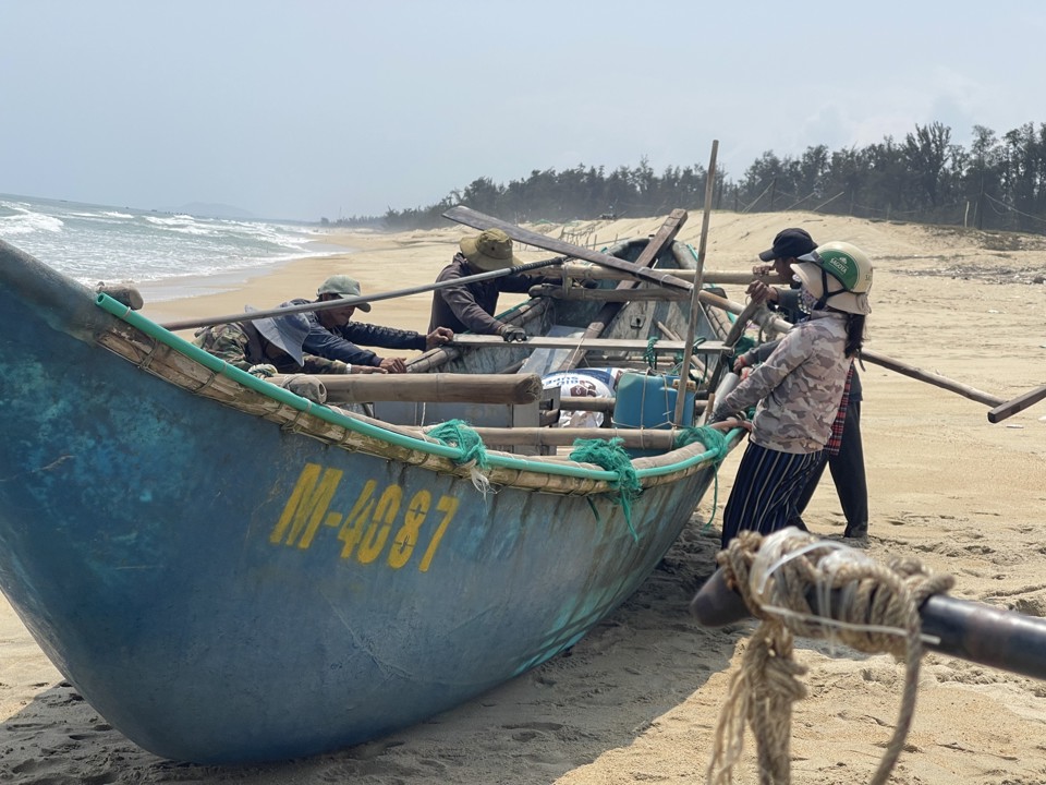 Mùa khai thác ốc ruốc thường kéo dài từ độ tháng Giêng đến hết tháng 3 Âm lịch hằng năm. Ốc ruốc tập trung nhiều nhất ở vùng bãi ngang ven biển huyện Mộ Đức, đặc biệt là ở xã Đức Minh. Ảnh: Hà Phương