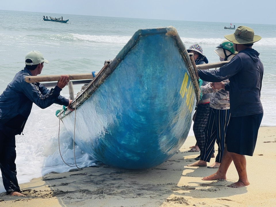 Những ngày này, ngư dân các xã ven biển tỉnh Quảng Ngãi hối hả khai thác ốc ruốc (còn được gọi là ốc gạo). Ảnh: Hà Phương