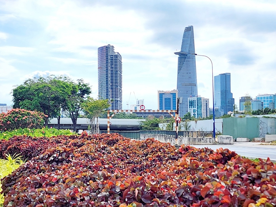 Nhiều loài hoa hợp với ánh nắng thi nhau khoe sắc