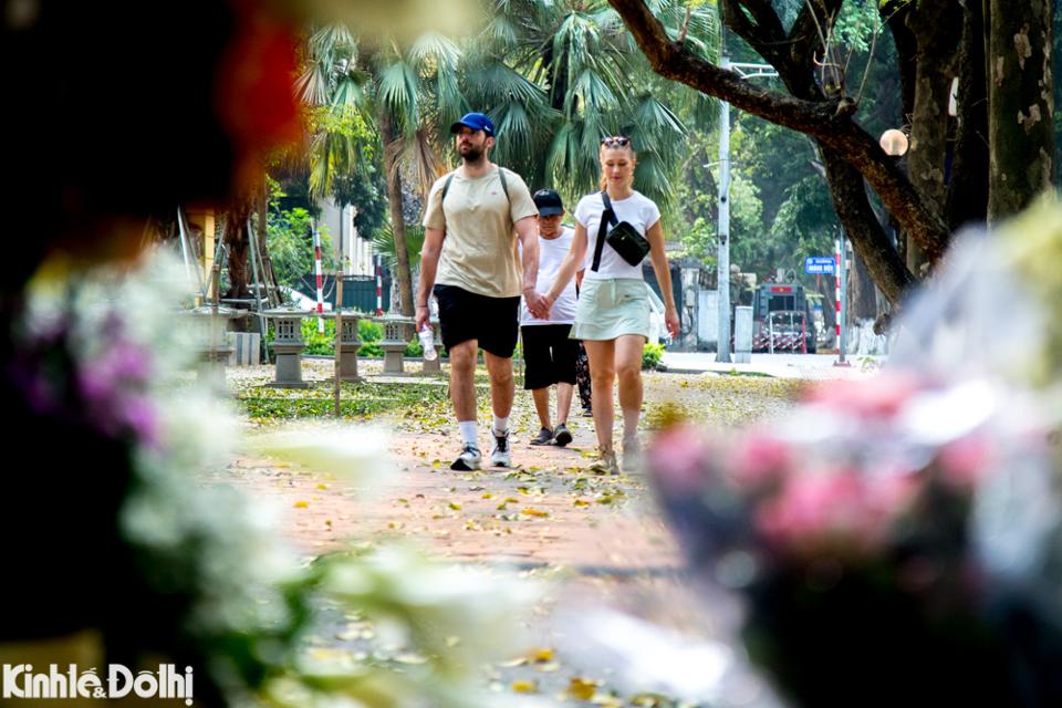 Những bó loa kèn trắng tinh khôi, dịu dàng khoe sắc, trở thành điểm nhấn tuyệt đẹp cho bức tranh giao mùa của Hà Nội.