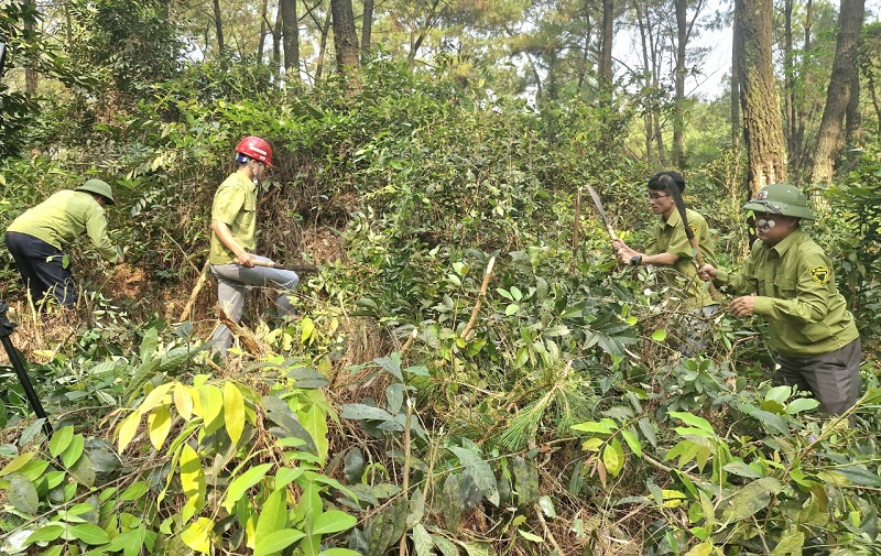 Ban Quản lý Rừng phòng hộ Hồng Lĩnh xử lý thực bì phòng ngừa nguy cơ xảy ra cháy rừng