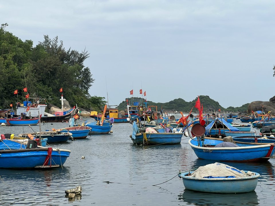 Thuyền thúng của ngư dân Sơn Trà.