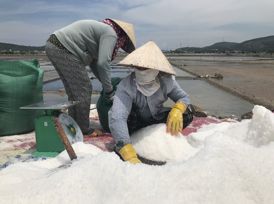 Hằng năm, cánh đồng muối Sa Huỳnh cung cấp cho thị trường từ 6.000 – 6.500 tấn muối.