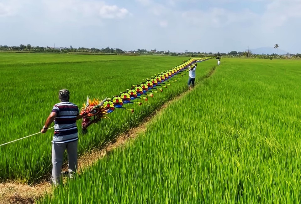 Cánh đồng lúa tại huyện Xuân Lộc vừa đạt chuẩn nông thôn mới nâng cao.