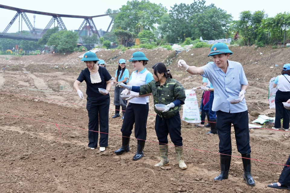 Bí thư Quận uỷ Hoàng Minh Dũng Tiến cùng các đại biểu và cán bộ Hội LHPN gieo mầm trồng hoa phủ xanh bờ vở sông Hồng.