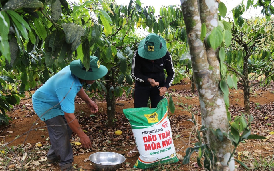 Bà con nông dân mong sớm có chính sách tính giá phân bón hợp lý để đỡ kinh phí đầu vào. Ảnh: Sơn Chung