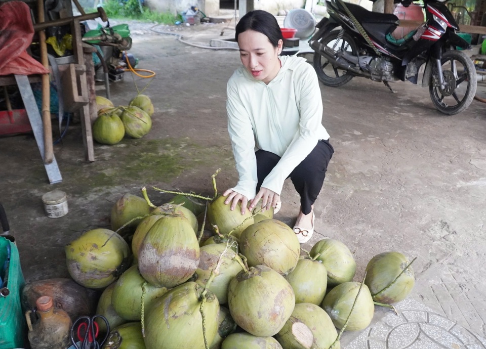 Dừa sáp được dùng nhiều vào chế biến thực phẩm, dược phẩm và mỹ phẩm. Ngoài ra, dừa sáp còn được dùng để chế biến nhiều loại nước giải khát. 