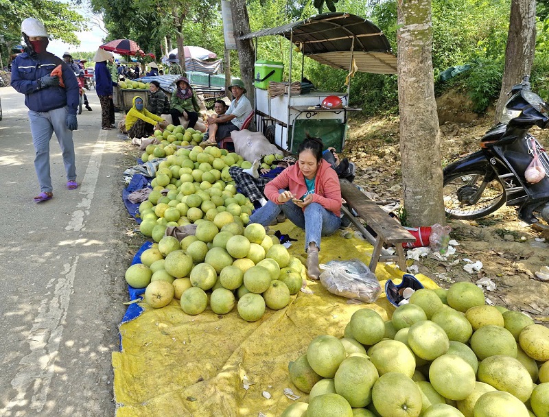 Mùa thu hoạch