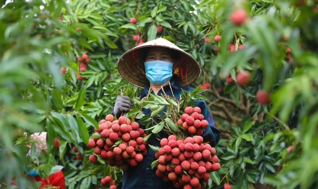 Sắp diễn ra chương trình đào tạo nâng cao năng lực phát triển xuất khẩu xanh tại Cần Thơ