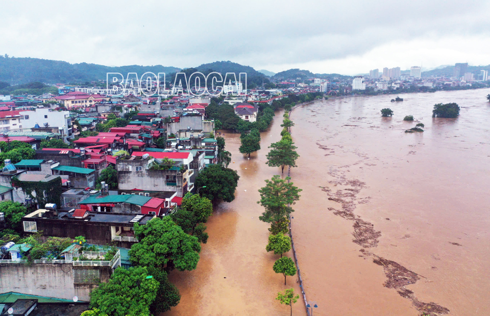 Nhiều khu dân cư ở khu vực ven sông Hồng thuộc địa phận phường Kim Tân và Cốc Lếu bị ngập sâu trong nước. Ảnh: Báo Lào Cai