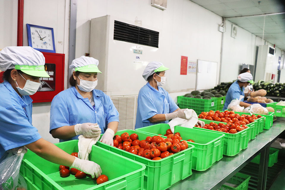 Tăng cường công tác bảo đảm ATTP, phòng chống ngộ độc thực phẩm trong mùa bão, lụt.