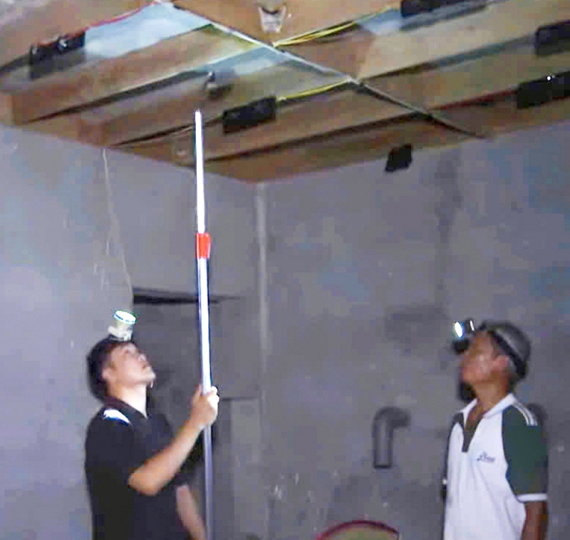 Nghề nuôi chim yến đem lại thu nhập cao cho người nuôi.