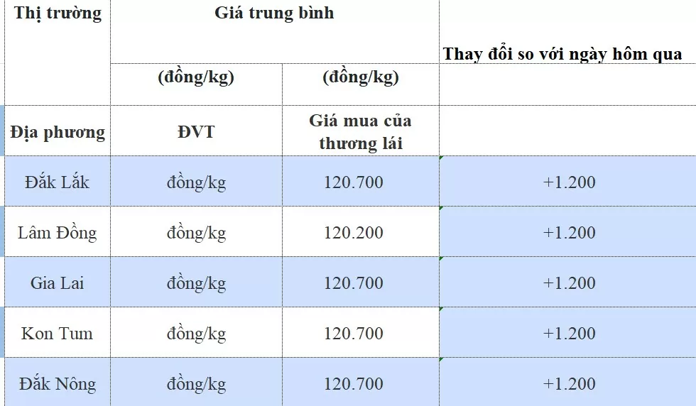 Giá cà phê hôm nay 25/9/2024: Giá cà phê hôm nay 25/9/2024: