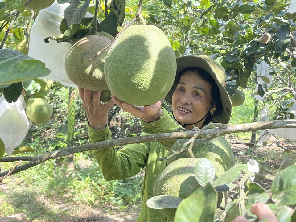   Các Chương trình MTQG được lồng ghép thực hiện để tăng hiệu quả công tác giảm nghèo
