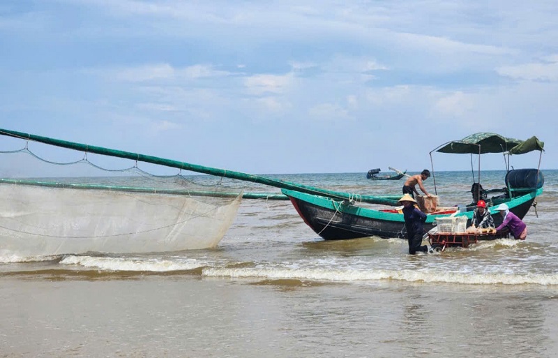 Đại diện lãnh đạo huyện Thạch Hải cho biết, nghề khai thác ruốc biển ven bờ đã giải quyết việc làm, thu nhập ổn định cho người dân các xã vùng bãi. Địa phương luôn đẩy mạnh tuyên truyền, nâng cao chất lượng, giá trị ruốc biển, đồng thời cảnh báo ngư dân đánh bắt đảm bảo an toàn, phòng ngừa rủi ro trong mùa mưa bão