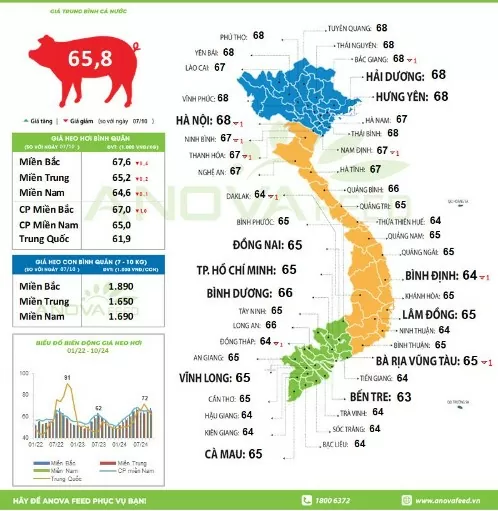 Giá heo hơi hôm nay 9/10/2024: Thị trường mất mốc 69.000 đồng/kg Giá heo hơi hôm nay 9/10/2024: Thị trường mất mốc 69.000 đồng/kg