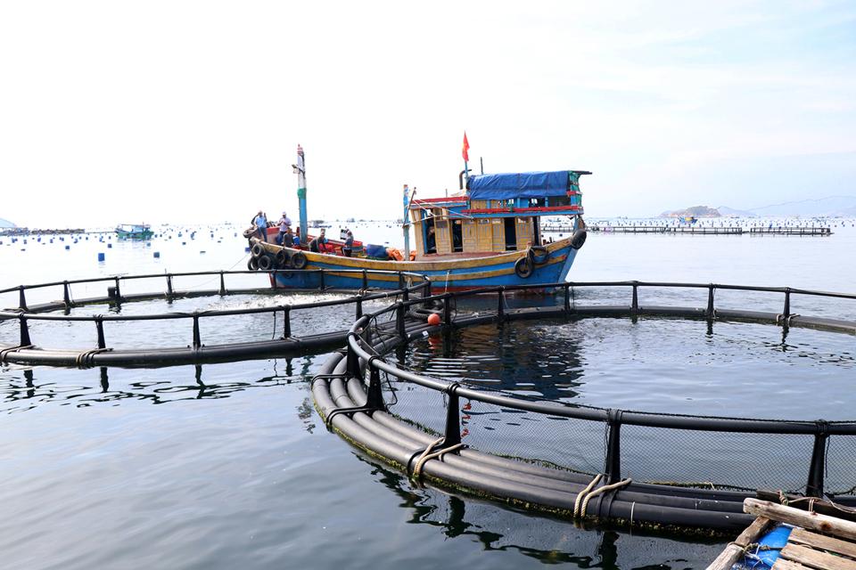 Khánh Hòa phấn đấu trở thành tỉnh phát triển kinh tế biển mạnh, bền vững, góp phần bảo vệ môi trường, bảo đảm quốc phòng, an ninh và chủ quyền biển...