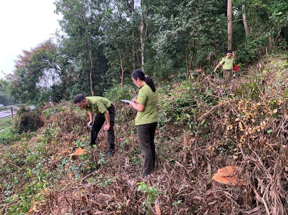 Cơ quan chức năng vào cuộc kiểm tra, xác minh.