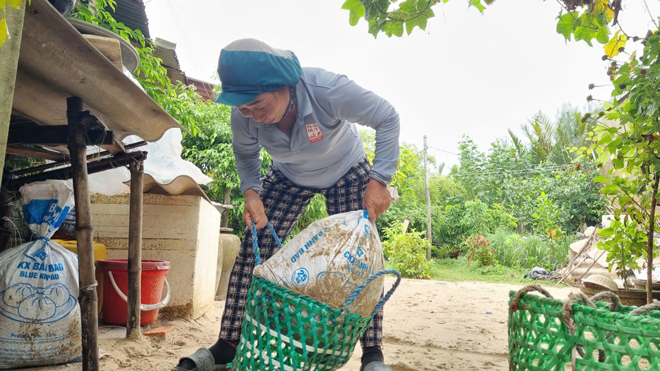 Xác mắm được thu gom để sản xuất phân bón, thức ăn cho cây trồng, vật nuôi.