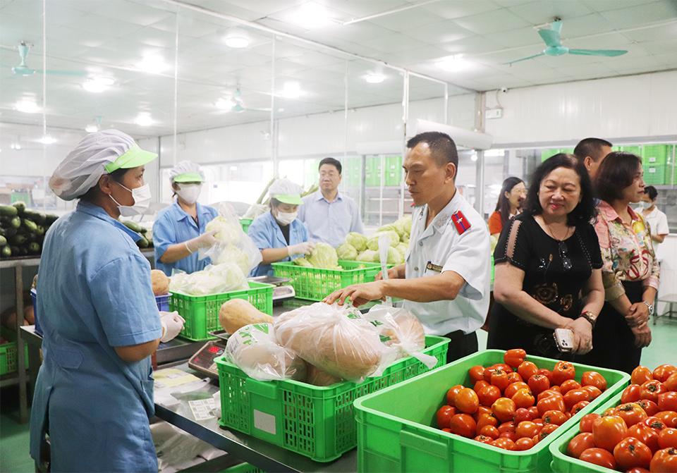 Cách duy nhất làm sạch rau, củ, quả là rửa rau xanh có lá to, quả chín dưới vòi nước sạch chảy mạnh.