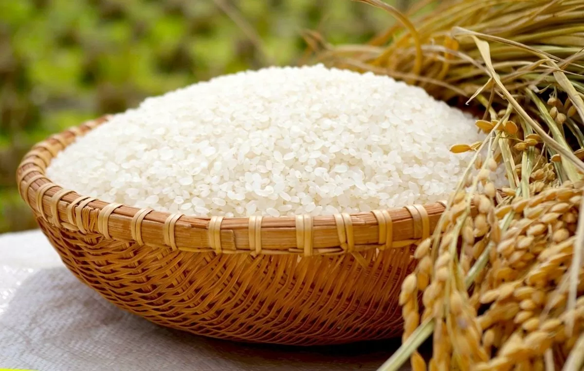 Hàng trăm tấn gạo bị tạm giữ tại Thuỵ Điển do nghi ngờ gian lận chất lượng Hàng trăm tấn gạo bị tạm giữ tại Thuỵ Điển do nghi ngờ gian lận chất lượng