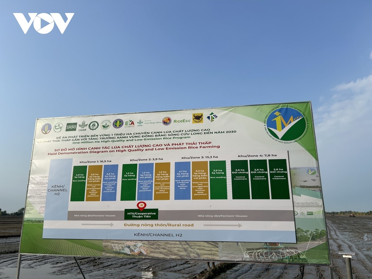 Đề án đầu tiên trên thế giới về sản xuất 1 triệu ha lúa gạo chất lượng cao